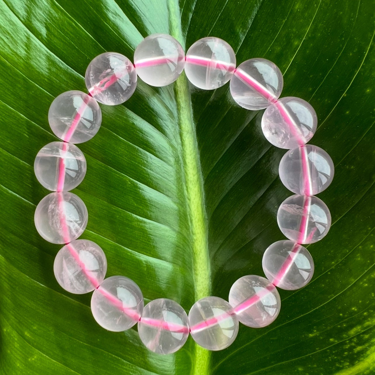 Rose Aura | The Gem of Healing Love