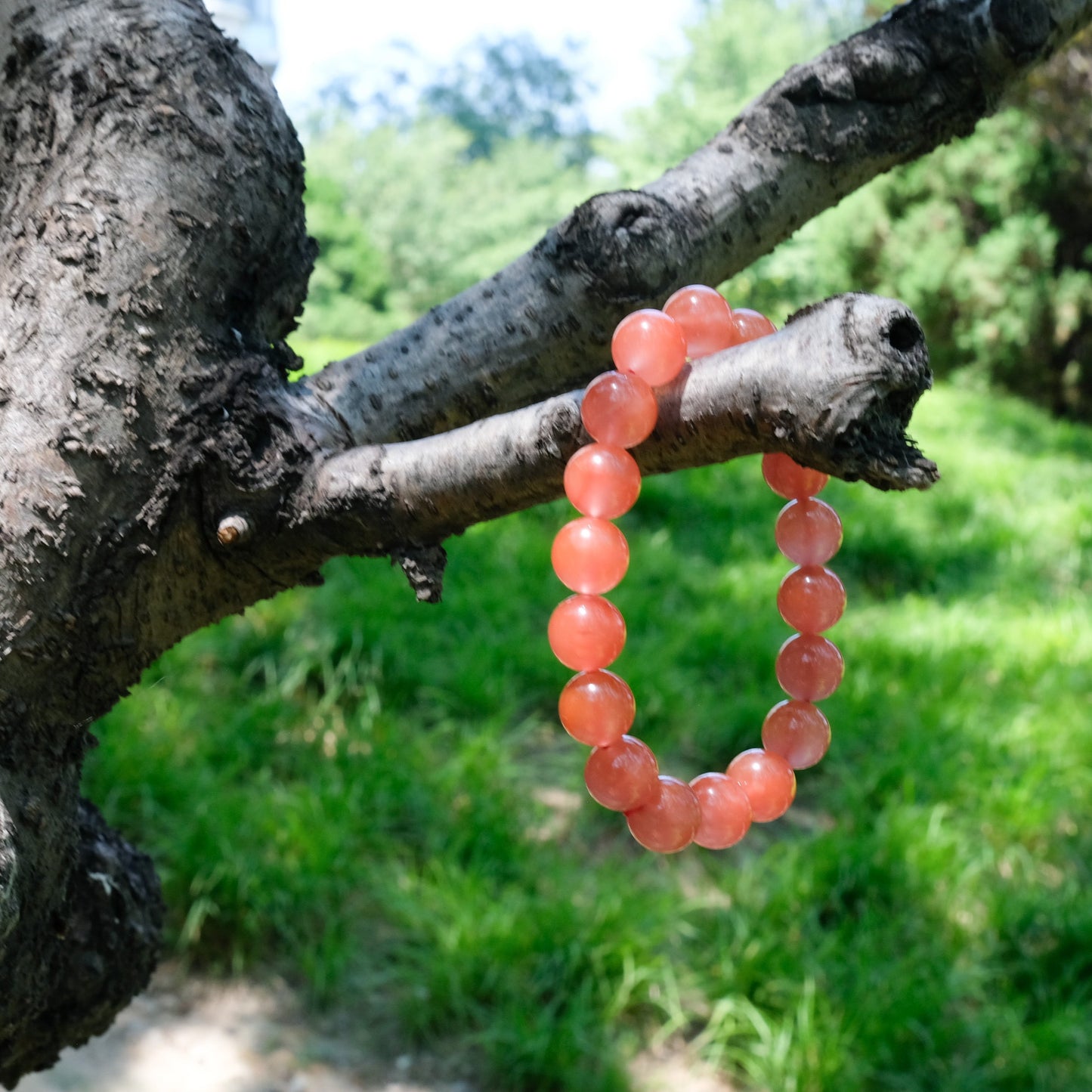 Cherry Red Nanhong Agate | The Flame of Vitality