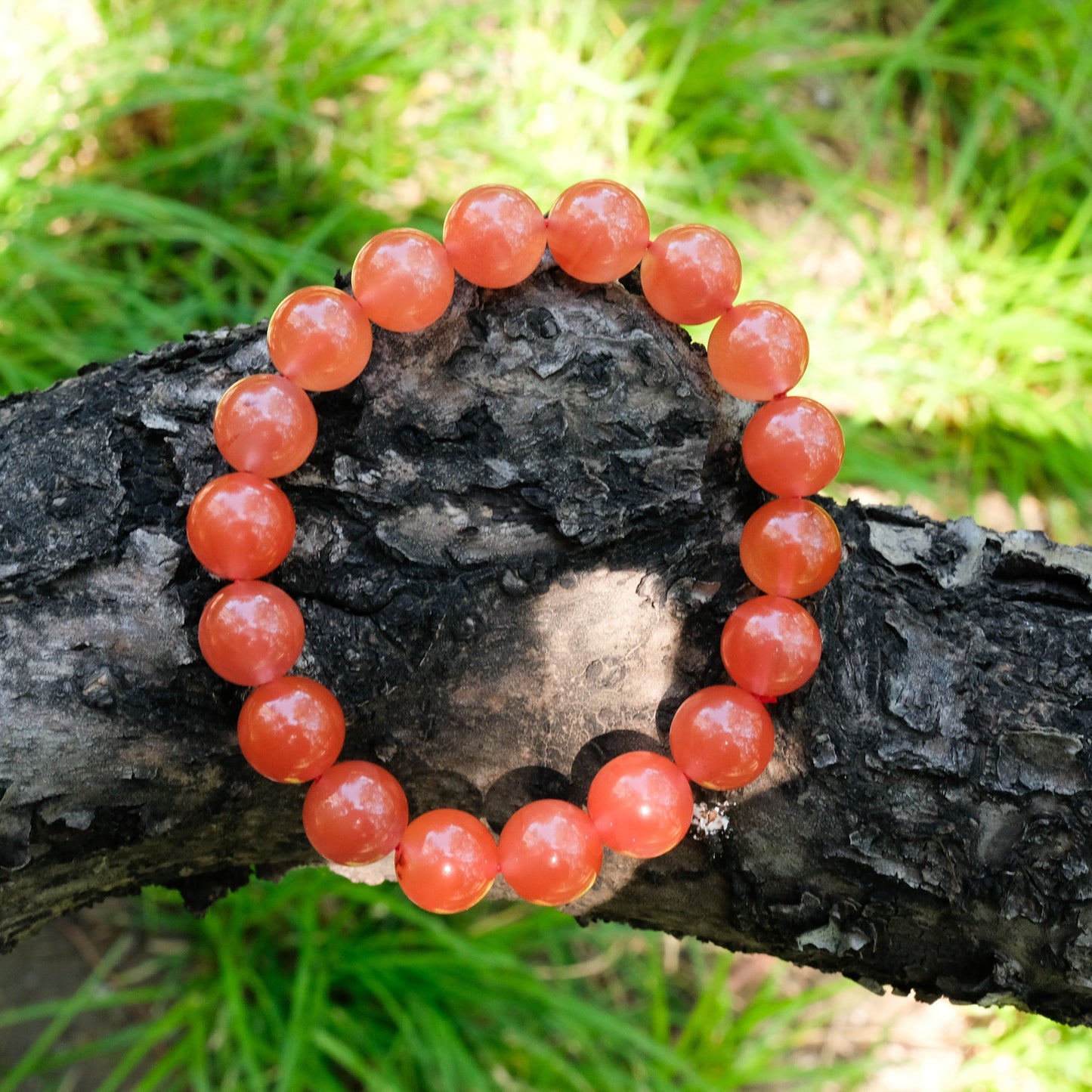 Cherry Red Nanhong Agate | The Flame of Vitality