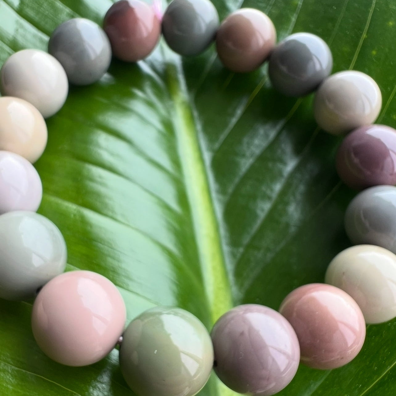 Alashan Agate | The Stone of Resilience